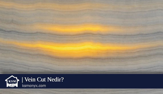 Vein Cut Nedir