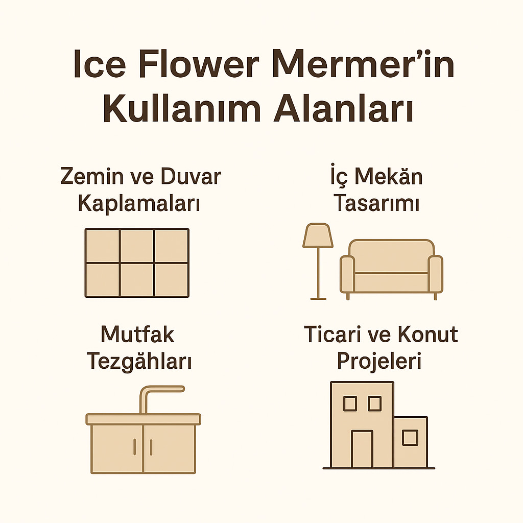Kullanım Alanları