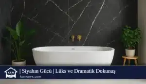 Siyahın Gücü