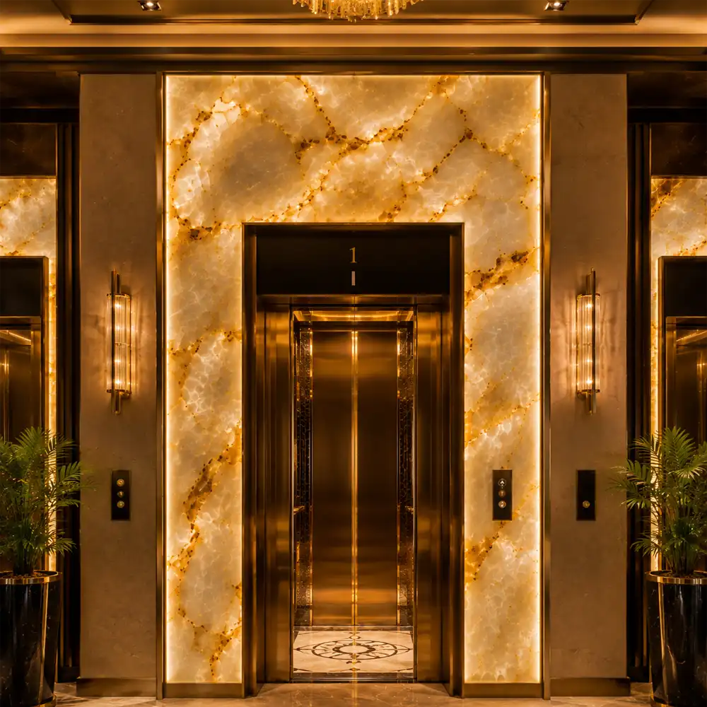 Luxury hotel asansor
